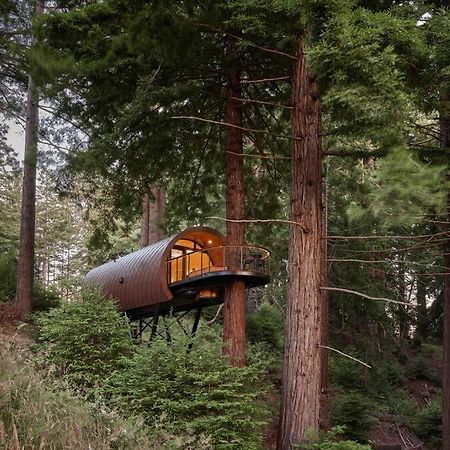 ~* The Spectacular Spyglass Treehouse *~ Occidental エクステリア 写真