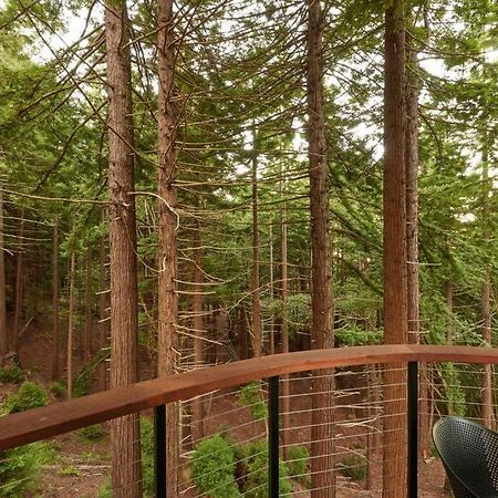 ~* The Spectacular Spyglass Treehouse *~ Occidental エクステリア 写真