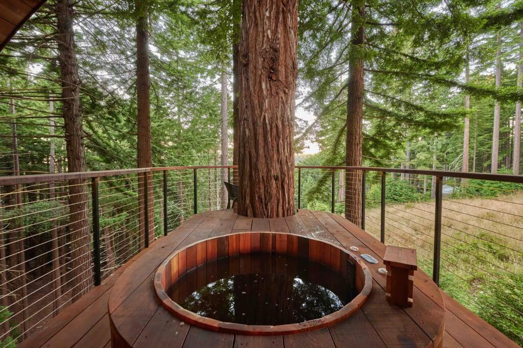 ~* The Spectacular Spyglass Treehouse *~ Occidental エクステリア 写真