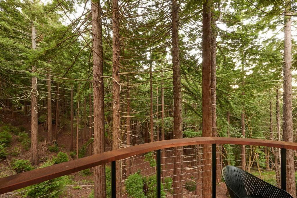 ~* The Spectacular Spyglass Treehouse *~ Occidental エクステリア 写真