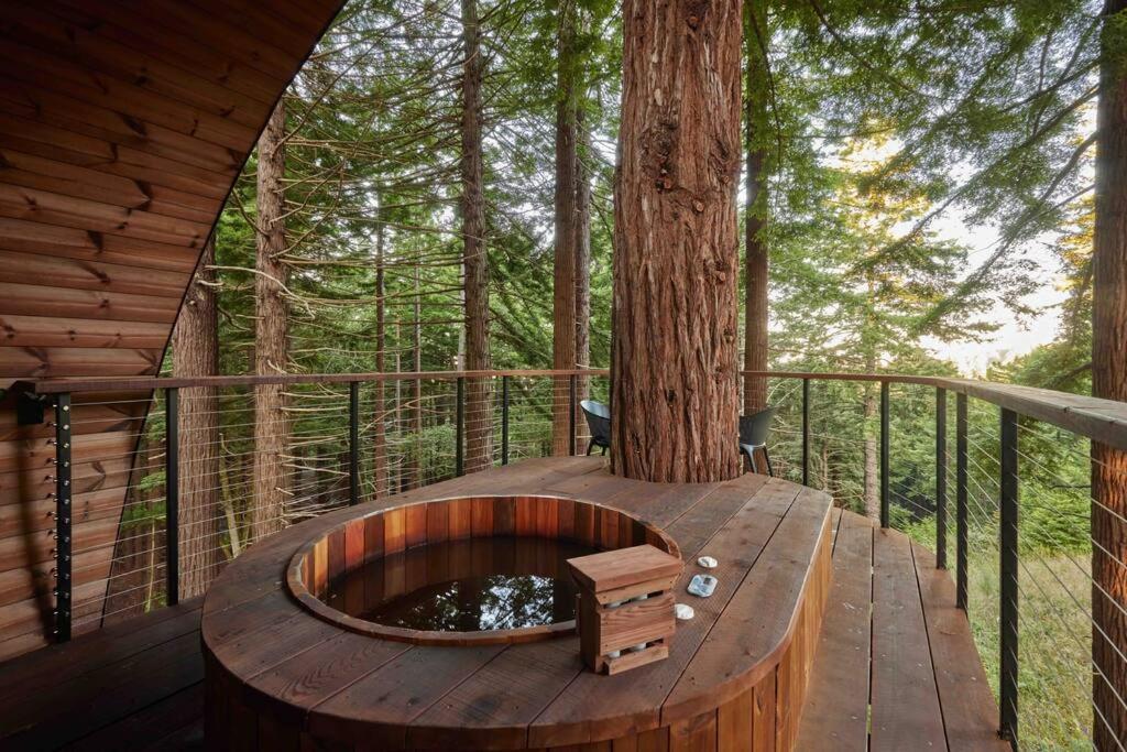 ~* The Spectacular Spyglass Treehouse *~ Occidental エクステリア 写真